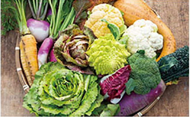 佐賀県吉野ヶ里町 - イタリア野菜セットラージ【頒布会】毎週、季節の野菜をお送りします（全４８回） | ふるさと納税サイト [ふるさとチョイス]