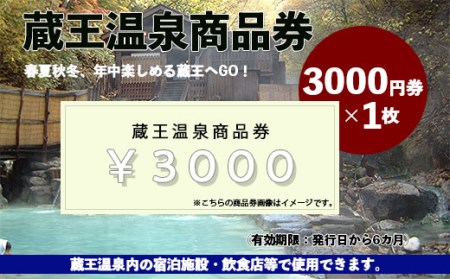 FY19-529 蔵王温泉商品券(3000×1枚) | 山形県山形市 | ふるさと納税サイト「ふるなび」